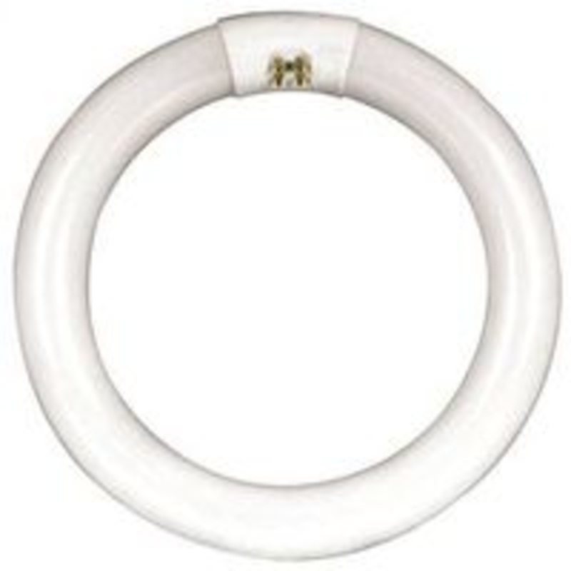 GE 40W Cool White Circular Fluorescent Bulb 16 (1 lbs)