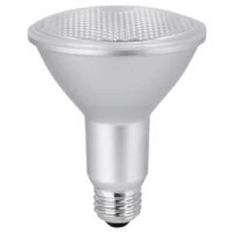 LED Bulb 75W PR30L E26
