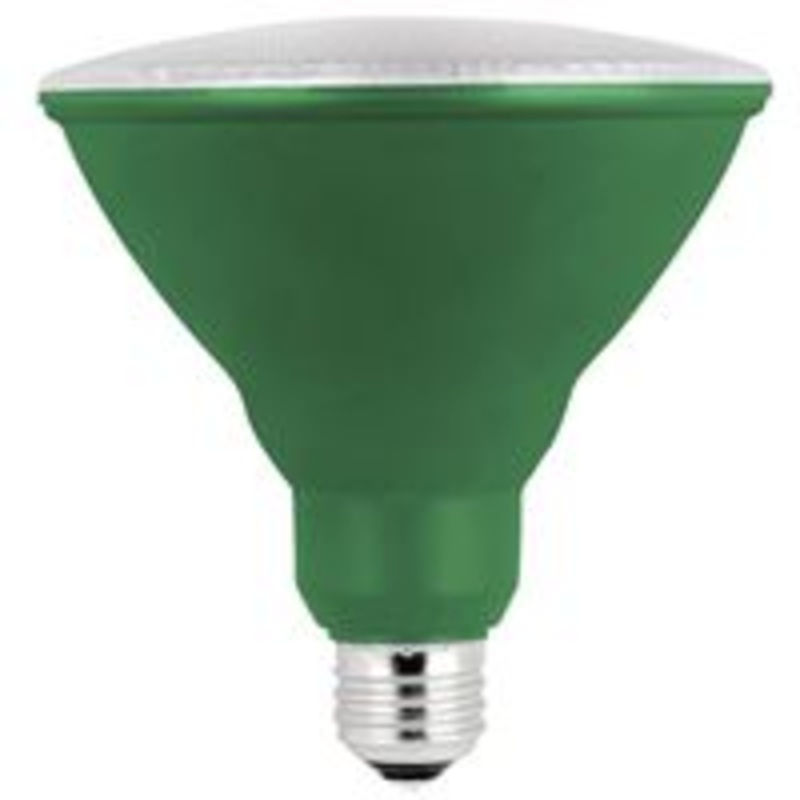 PAR38 LED Green Bulb