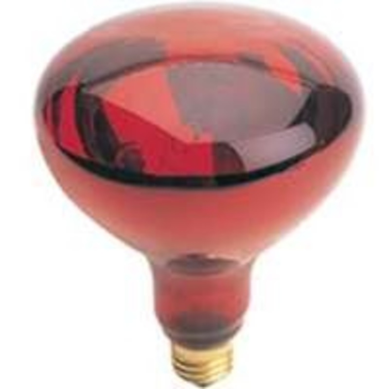 Reflector Heat Lamp Red R40