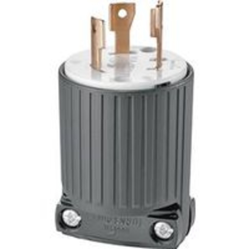 30A 250V Black 2-Pole Plug