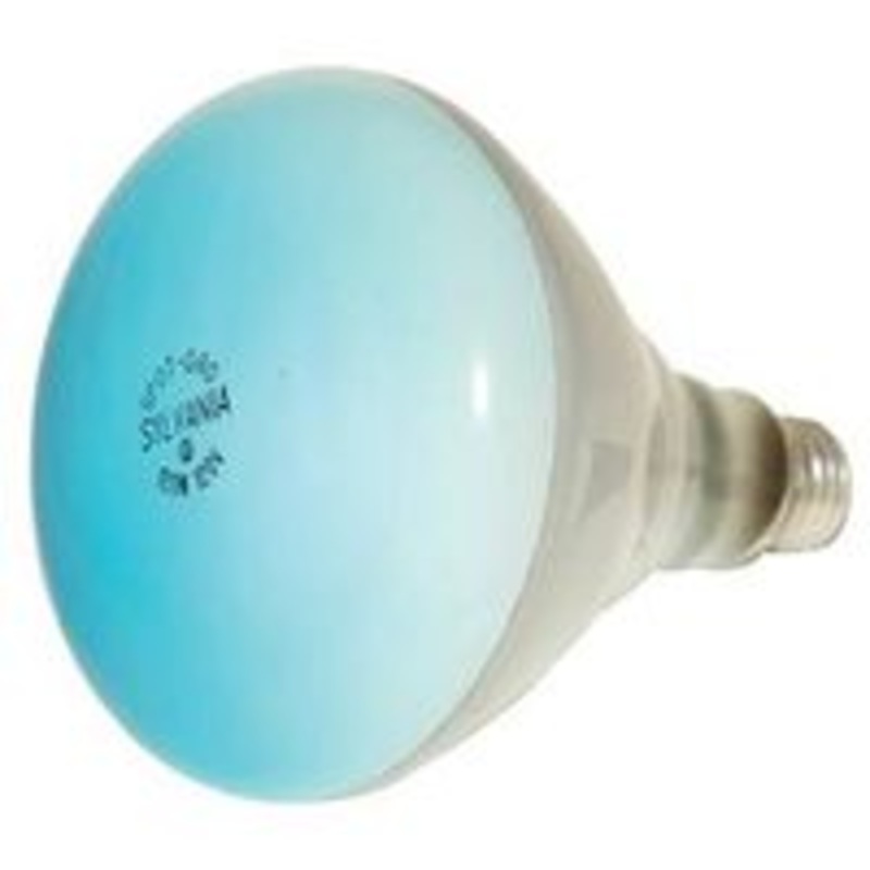 Bulb BR40 Incandescent Spotlight 1-Pack