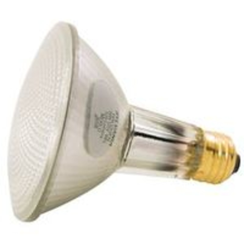 Floodlight HAL PAR30LN WD