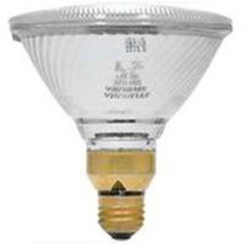 GE 50W Indoor Halogen Spot Bulb