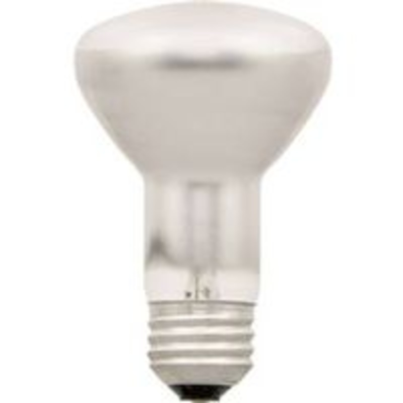 Halogen R20 Floodlight