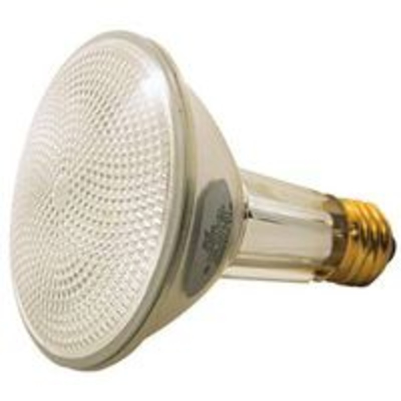 Halogen Reflector Bulb 60W PAR30