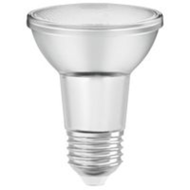 LED PAR20 Daylight Flood Bulb