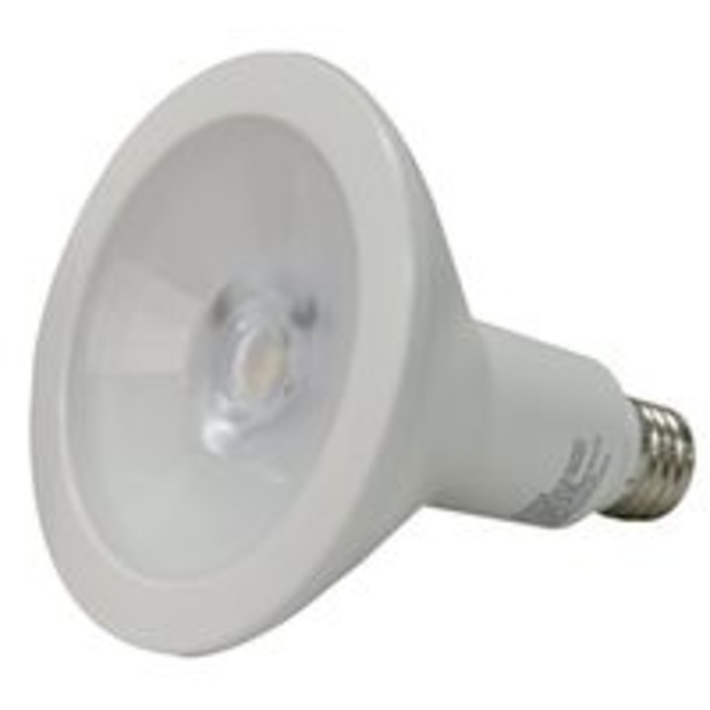 LED PAR38 Bulb, 5000K, 13W