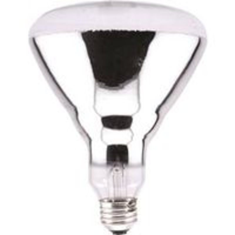 Reflector Heat Lamp Clear BR40