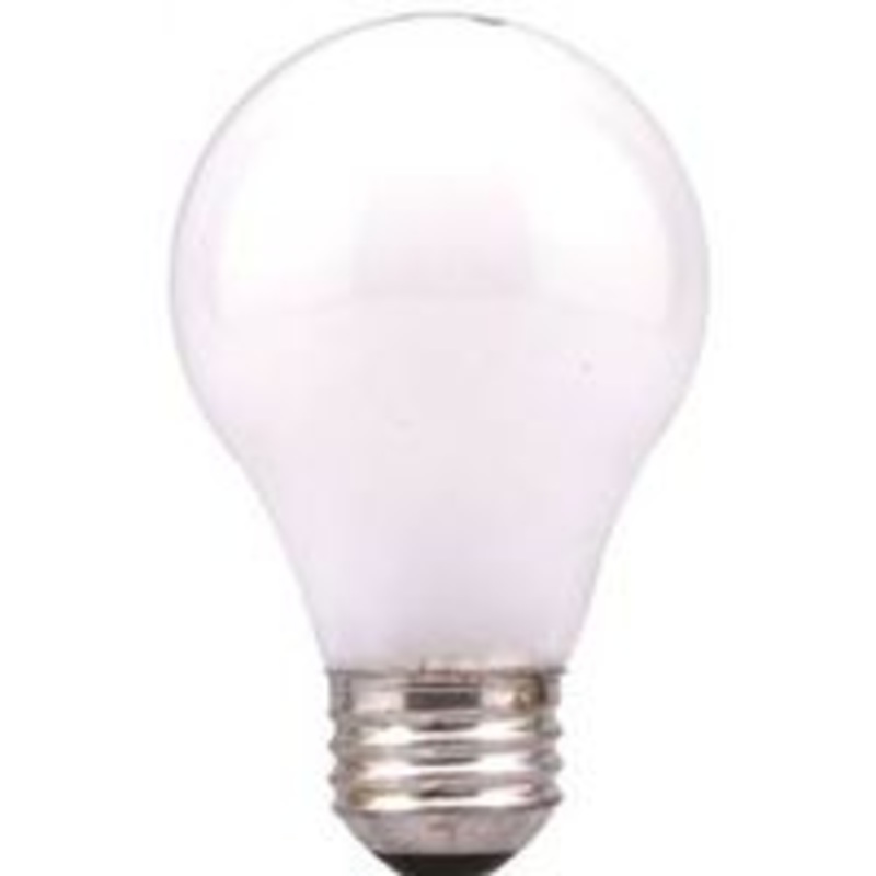 Soft White A19 LED Bulb, 25W, 120V