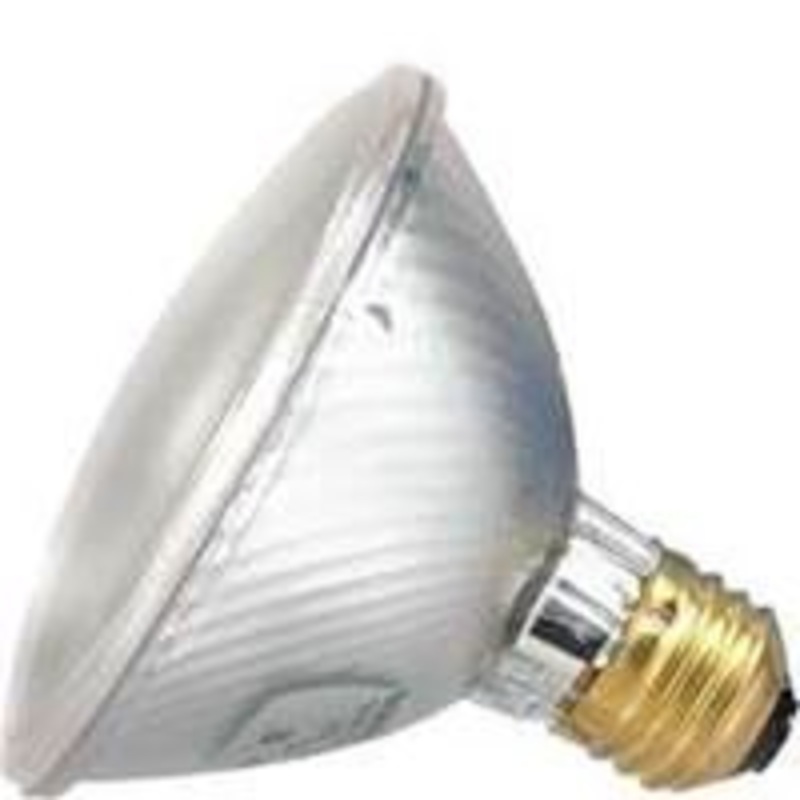Spotlight Halogen PAR30 ME