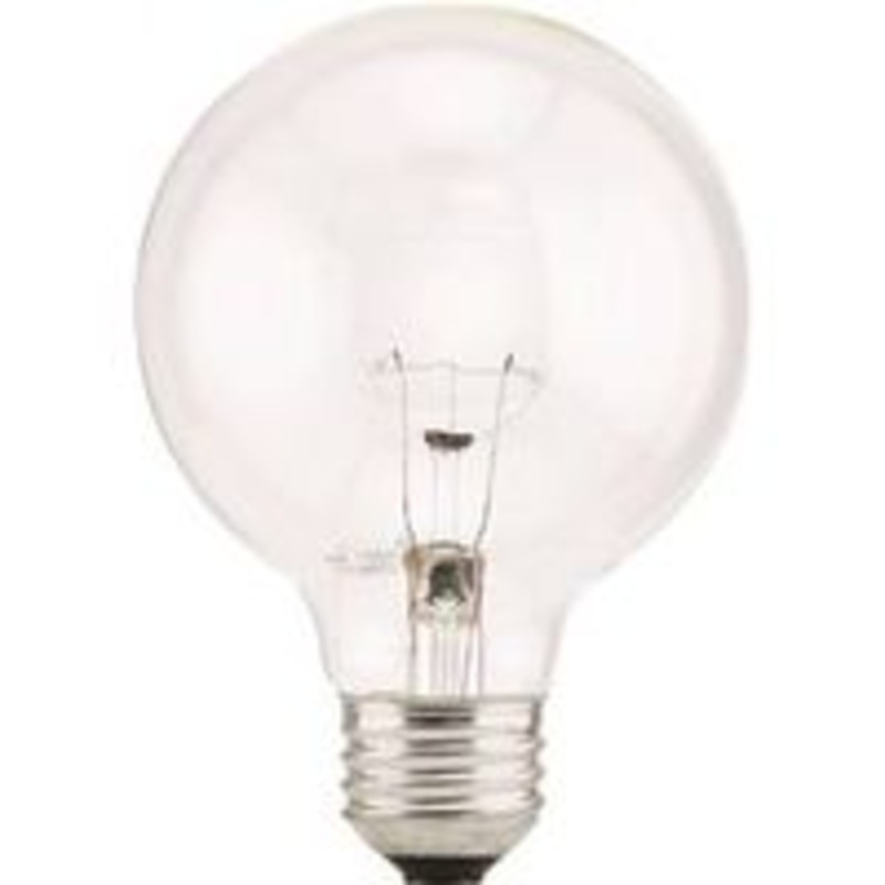 Standard 40W G25 Clear Bulb Light