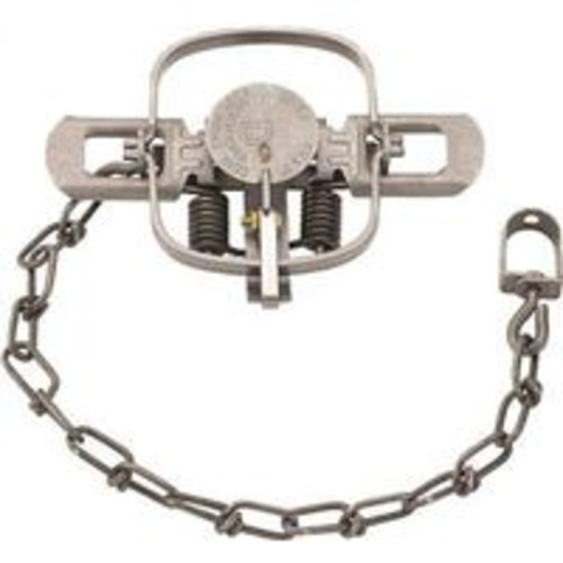 #1 Coil Spring Trap