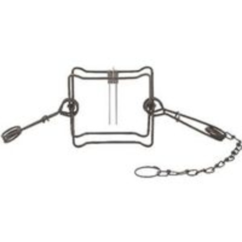 #220 Body Trap (2.33 lbs)