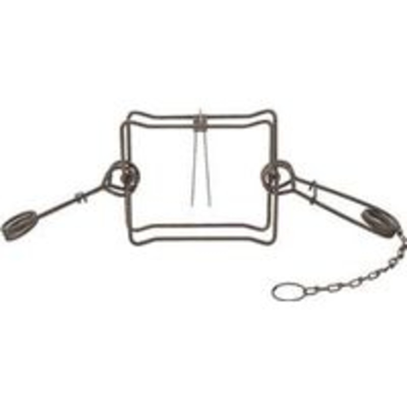 #330 Body Trap (5 lbs)
