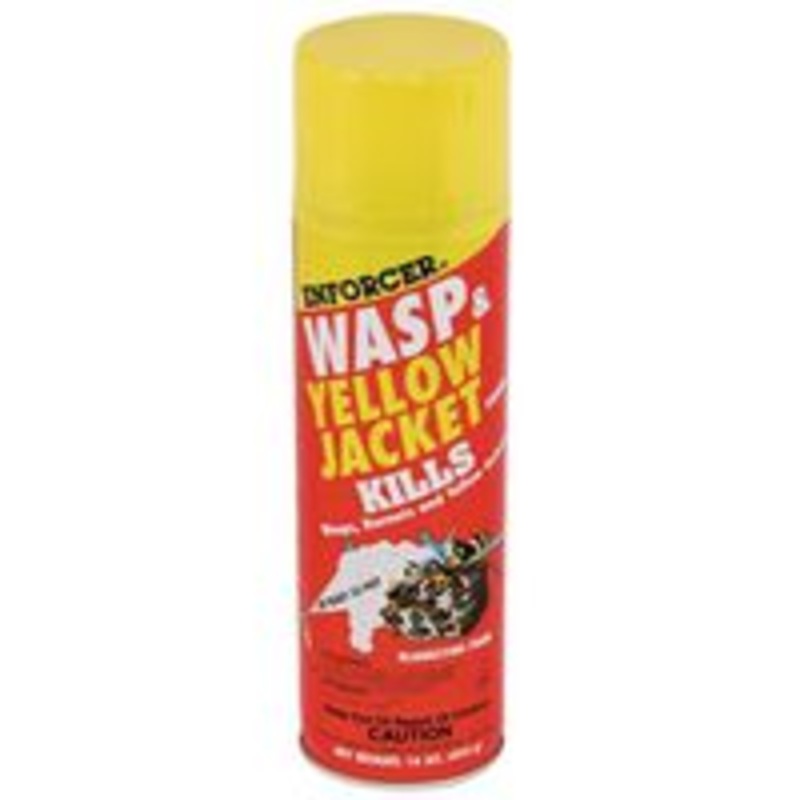 Foam Wasp Spray, 16 oz