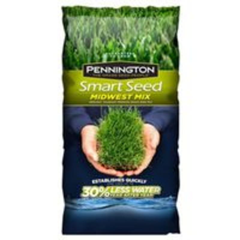 Northeast Grass Seed Mix