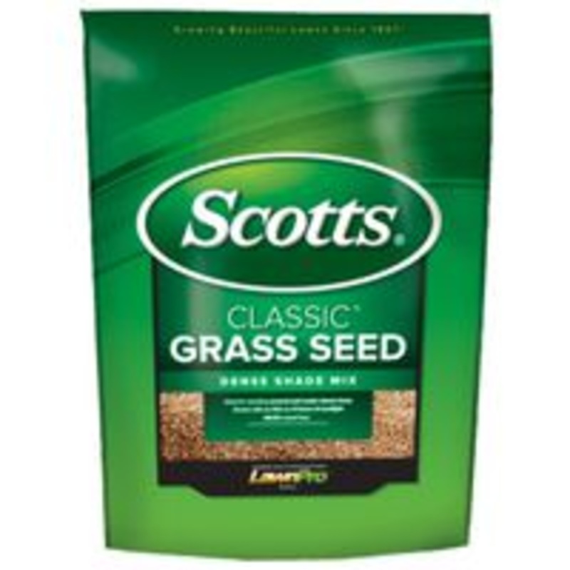3 lb Class Shade Seed (3.69 lbs)