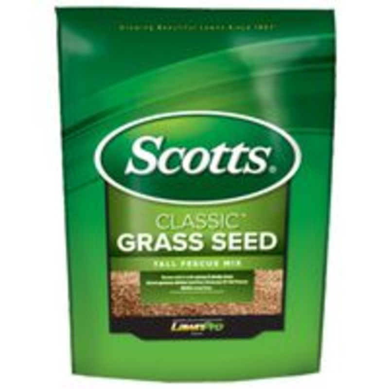 Tall Fescue Grass Seed