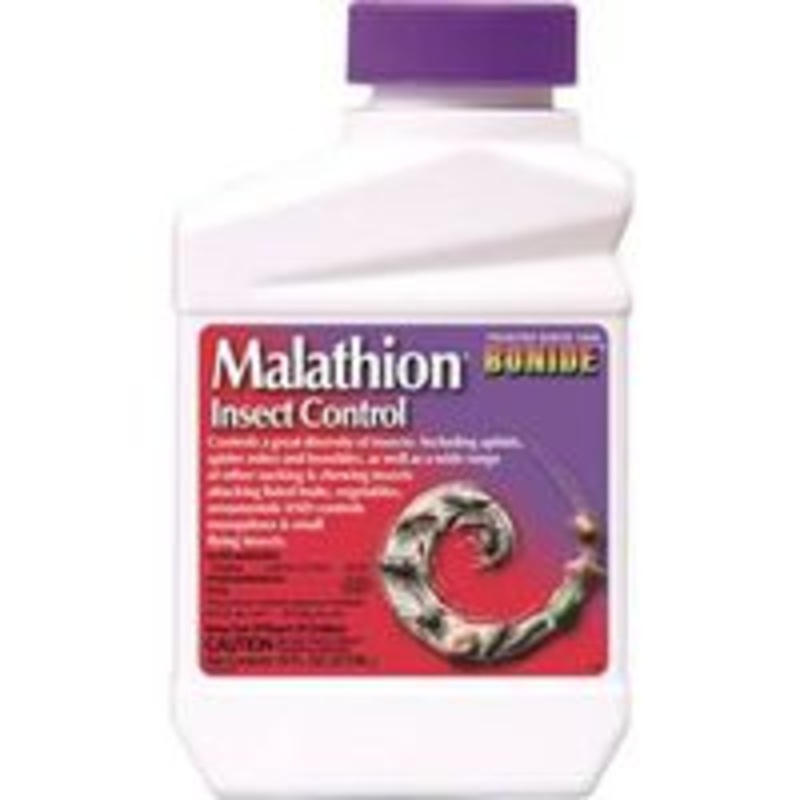 16 oz Concentrated Malathion Insecticide (1 lb)