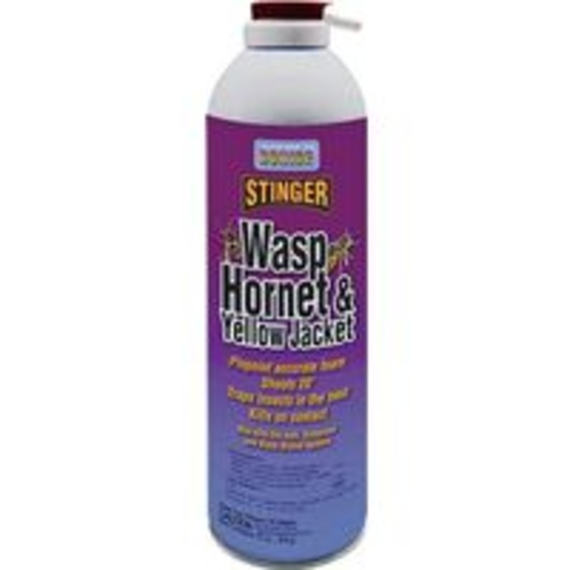 17.5 oz Wasp and Hornet Spray (1.1 lbs)