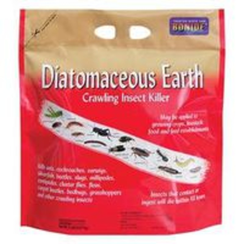 Diatomaceous Earth Insect Killer