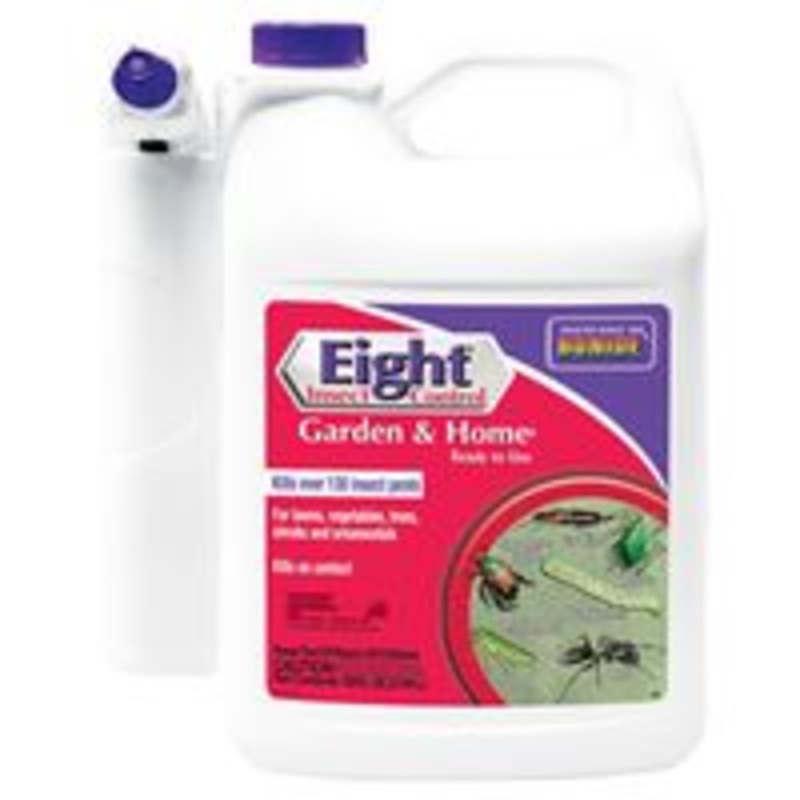 Insect Control Sprayer Ready to Use