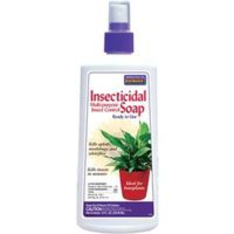 Insect Soap for Houseplants – 12 oz