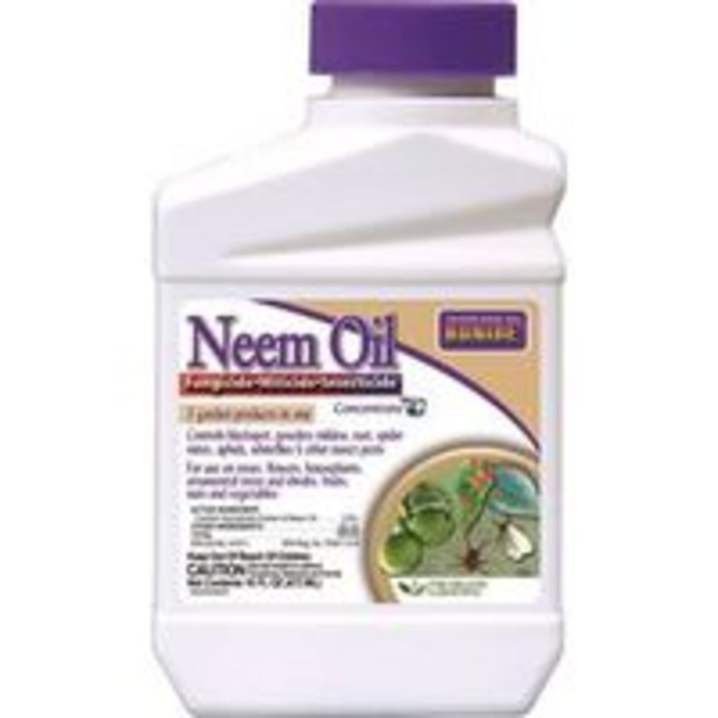Neem Oil – 1 Pint