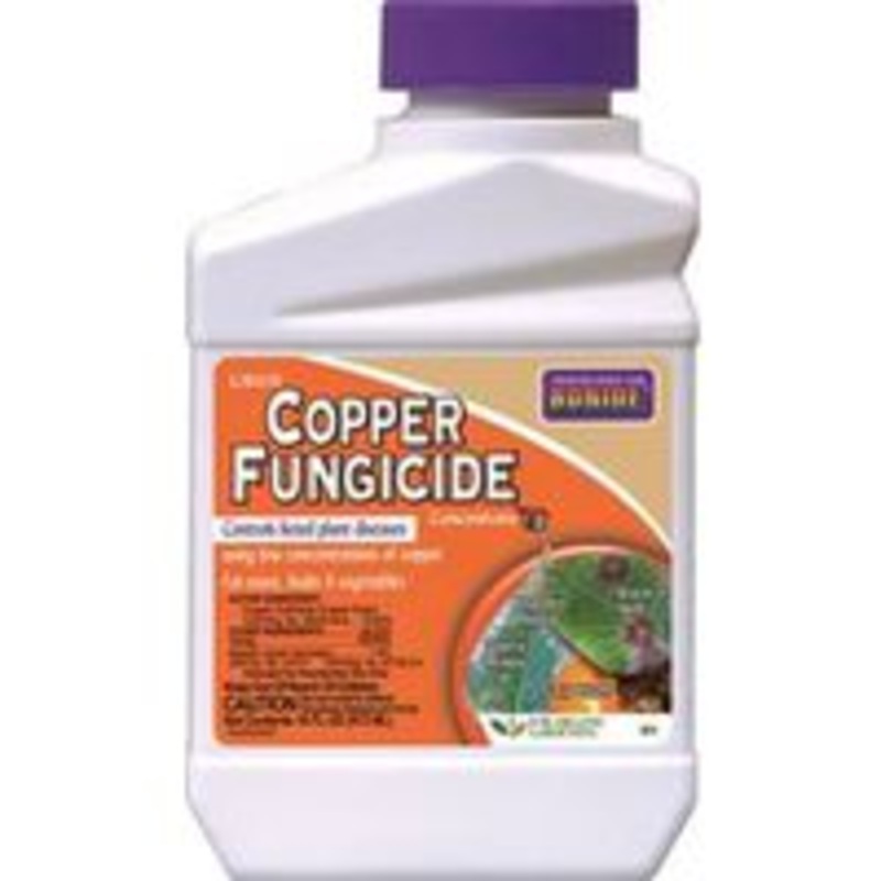 PT Concentrate Liquid Copper Fungicide (1 lbs)