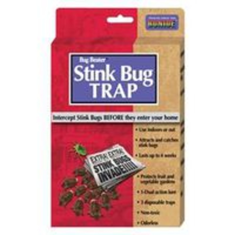 Trap Bug Stink Insecticide