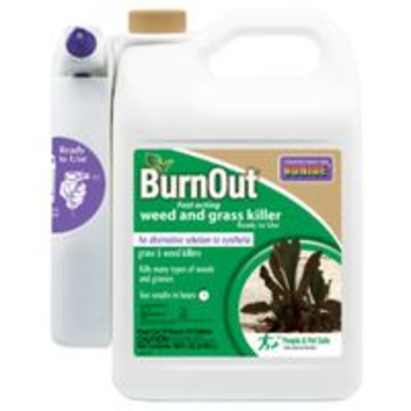 1 Gallon Ready-to-Use BurnOut Herbicide (10.8 lbs)