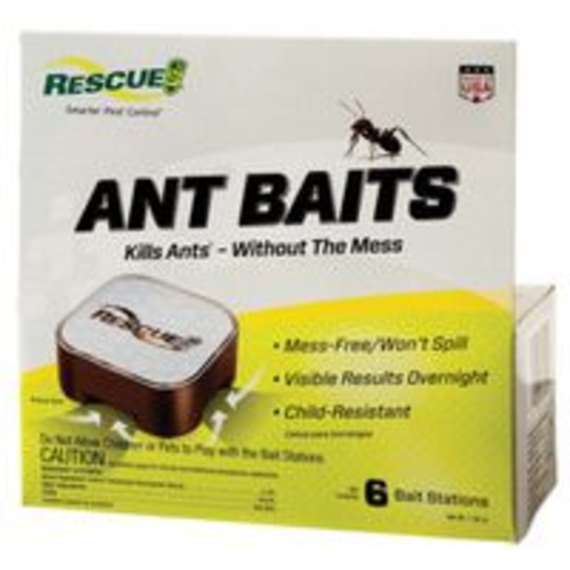 Ant Bait, 6-Pack