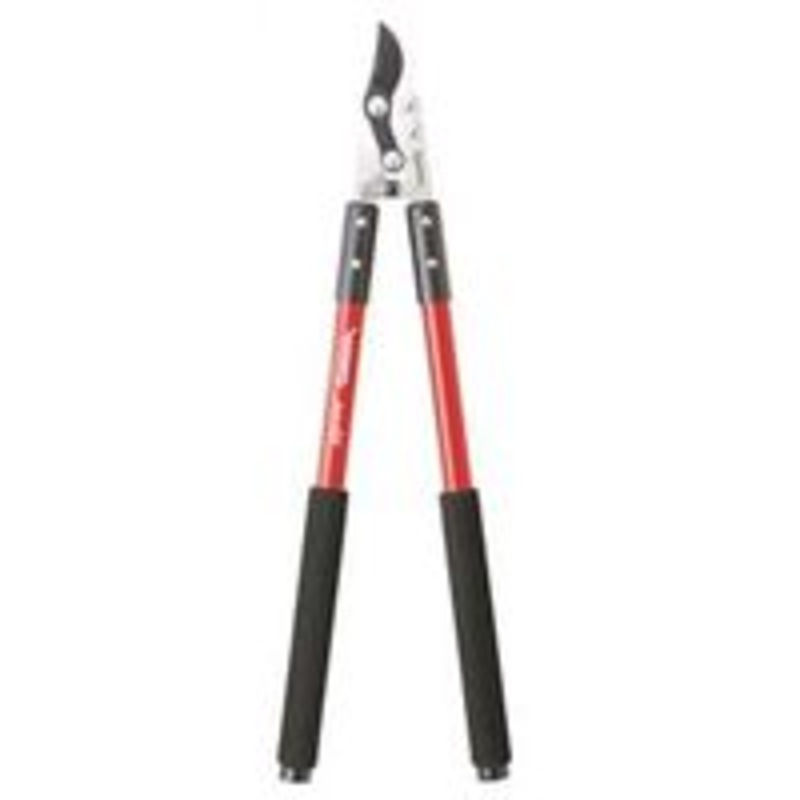 Comp by Lopper (4.1 lbs)