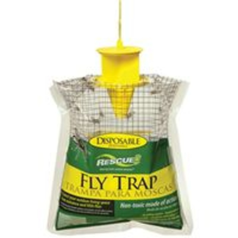 Disposable Fly Trap Display
