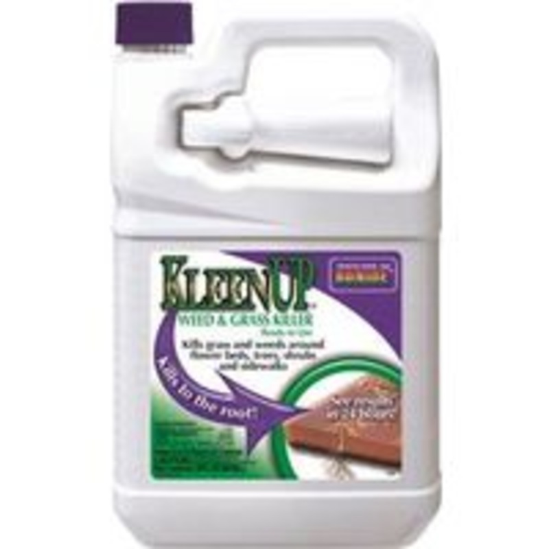 GAL RTU Kleenup Herbicide Spray (8 lbs)