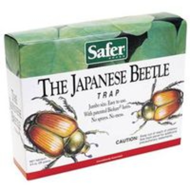 Japanese Beetle Trap