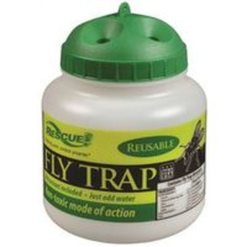 Reusable Fly Trap Display