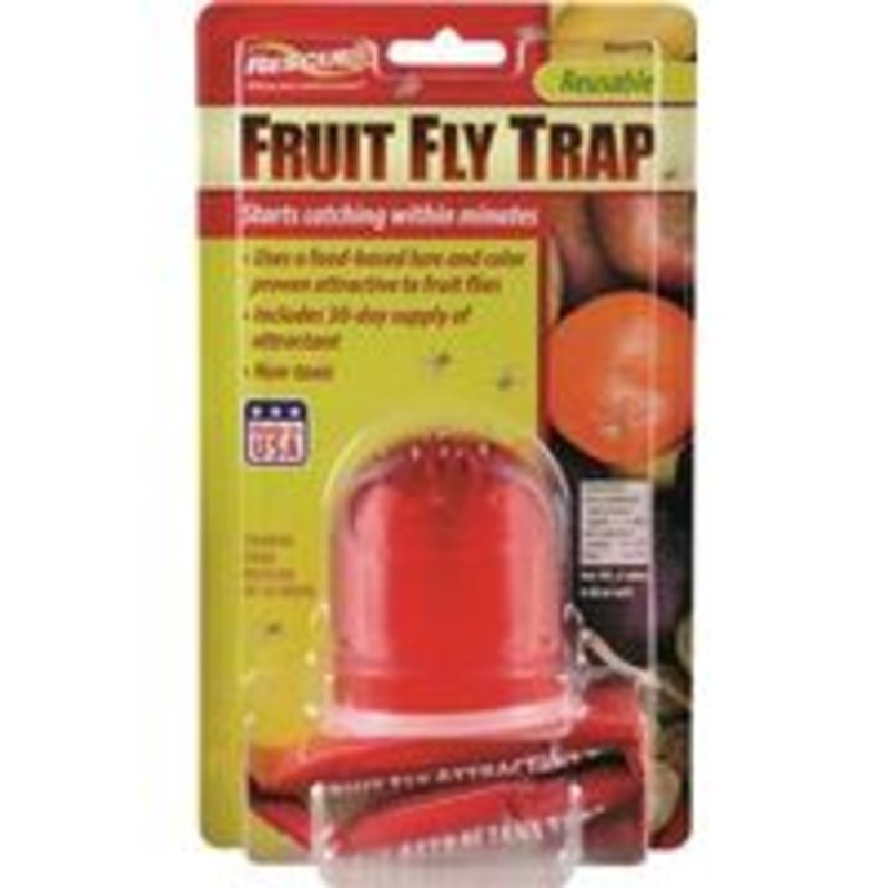 Trap Fruit Fly Single Pack