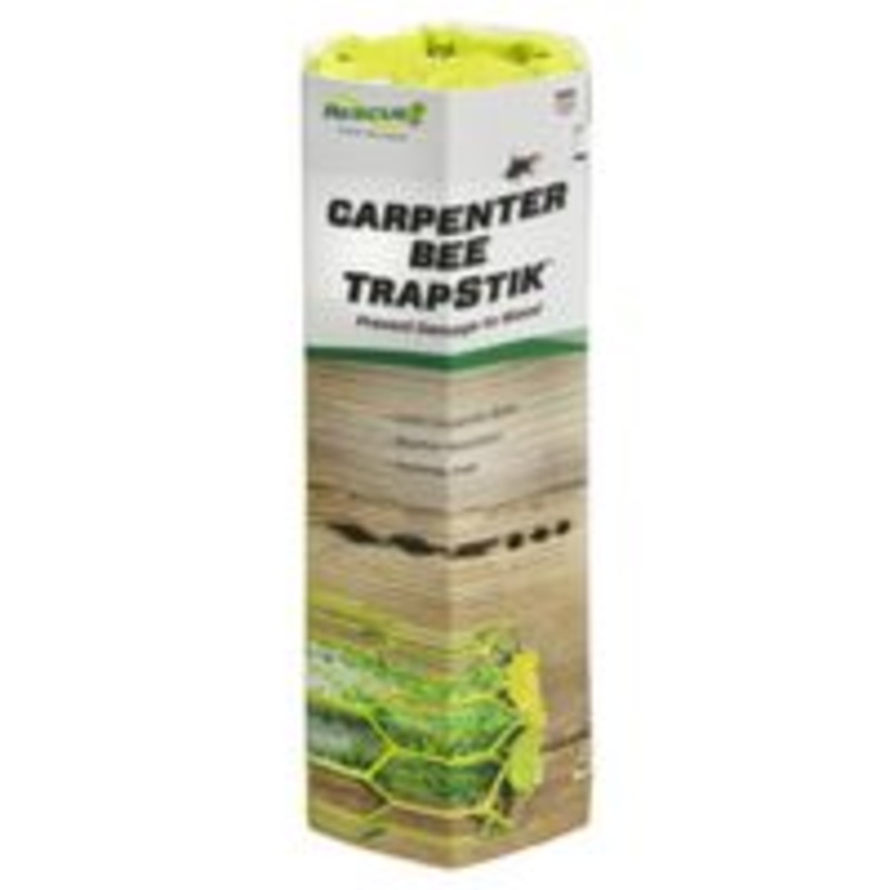 TrapStik for Carpenter Bees