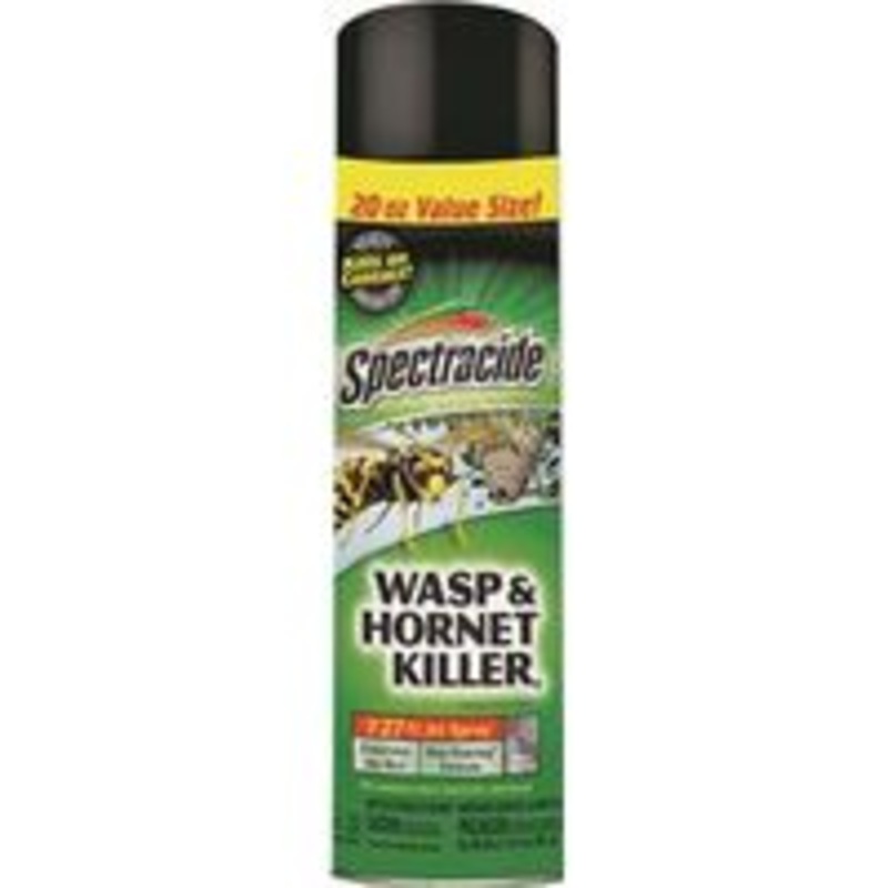 20 oz. Wasp and Hornet Insecticide