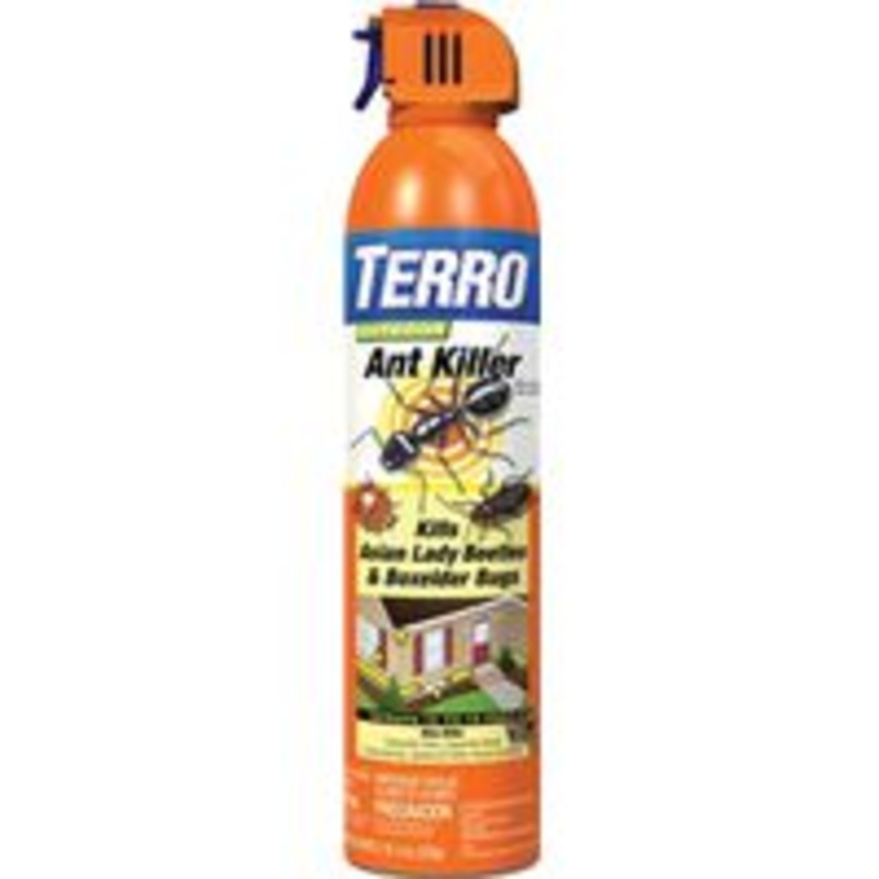 Aerosol Ant and Beetle Killer