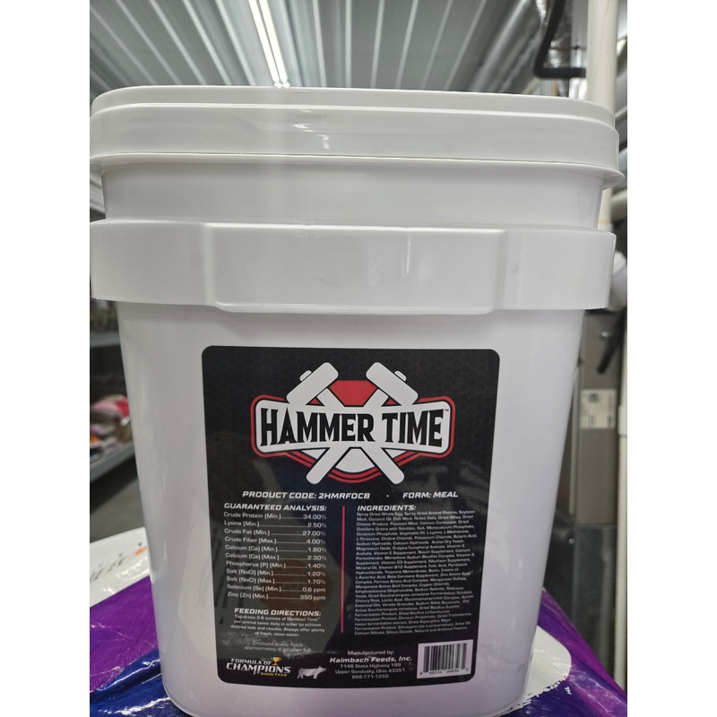 Hammer Time (25 lbs)