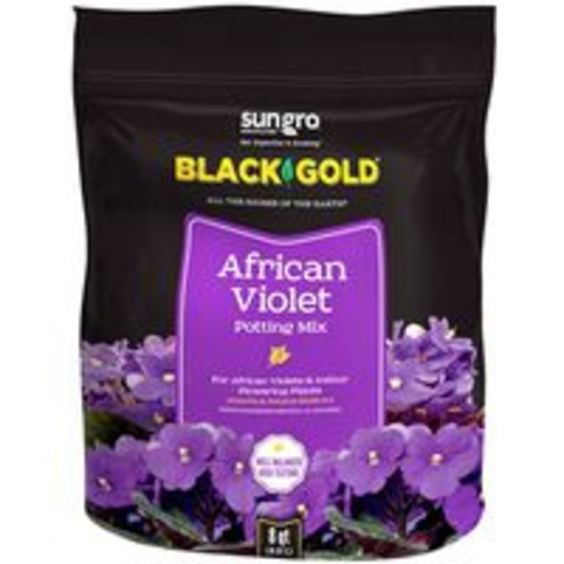 Mix African Violet Background 8 Quart