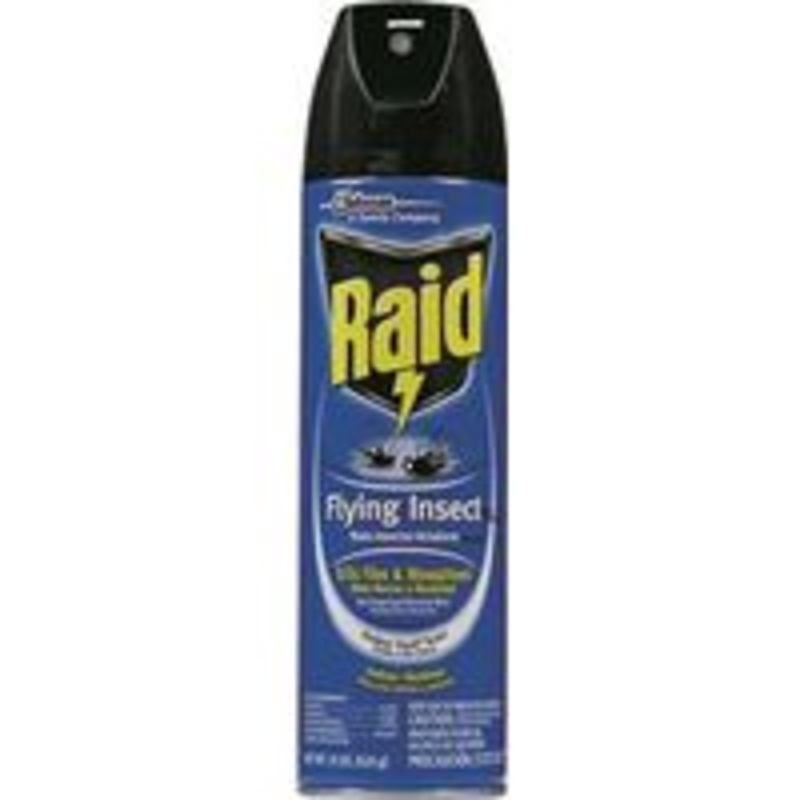Raid 15 oz Fly and Insect Killer (1.43 lbs)