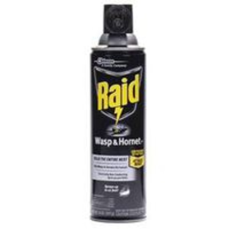 Wasp and Hornet Spray, 14 oz