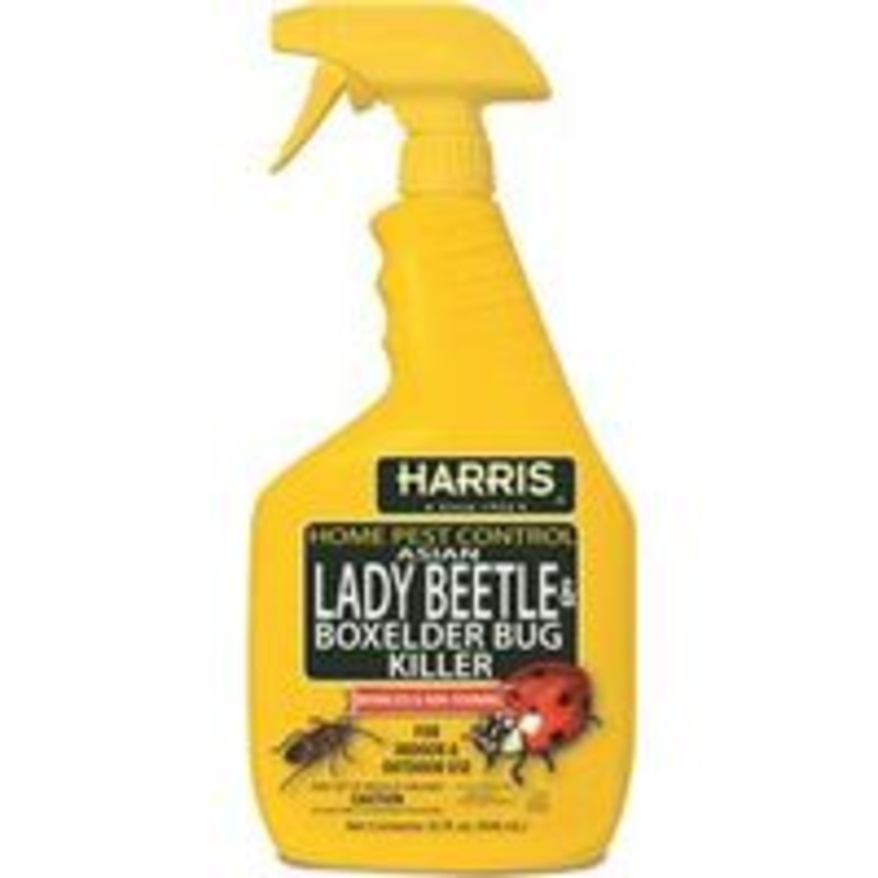 32 oz Beetle Bug Killer (2.25 lbs)