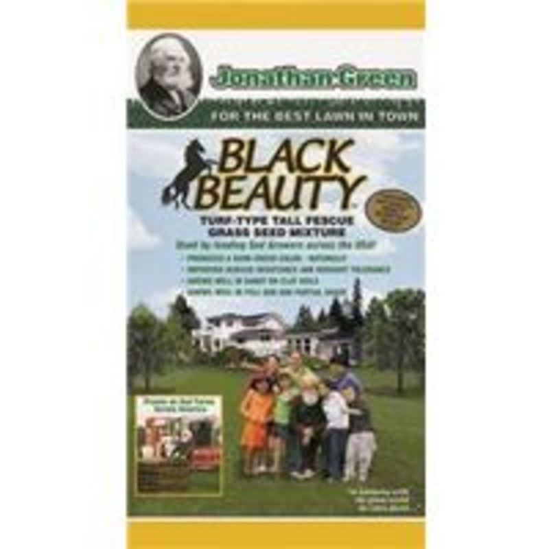 Black Beauty Grass Seed, 15 lb