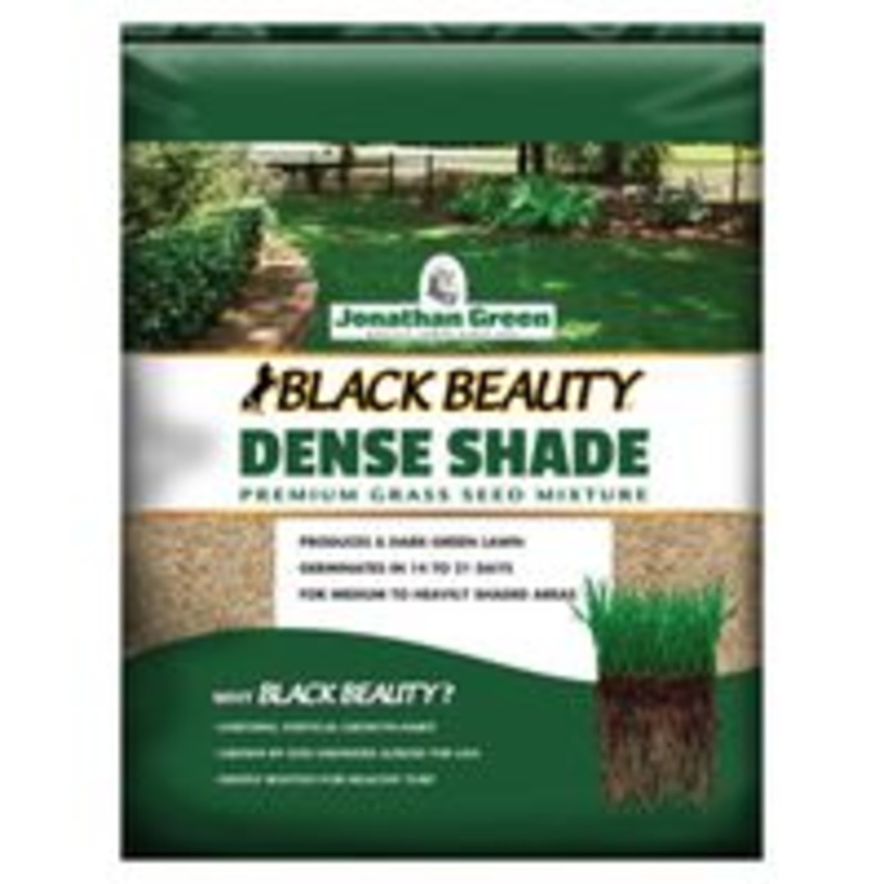 Dense Shade Grass Seed, 25 lb