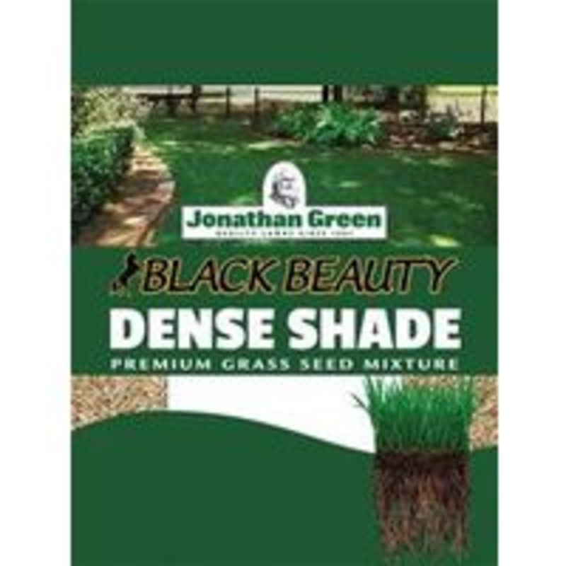 Dense Shade Seed – 3 lb